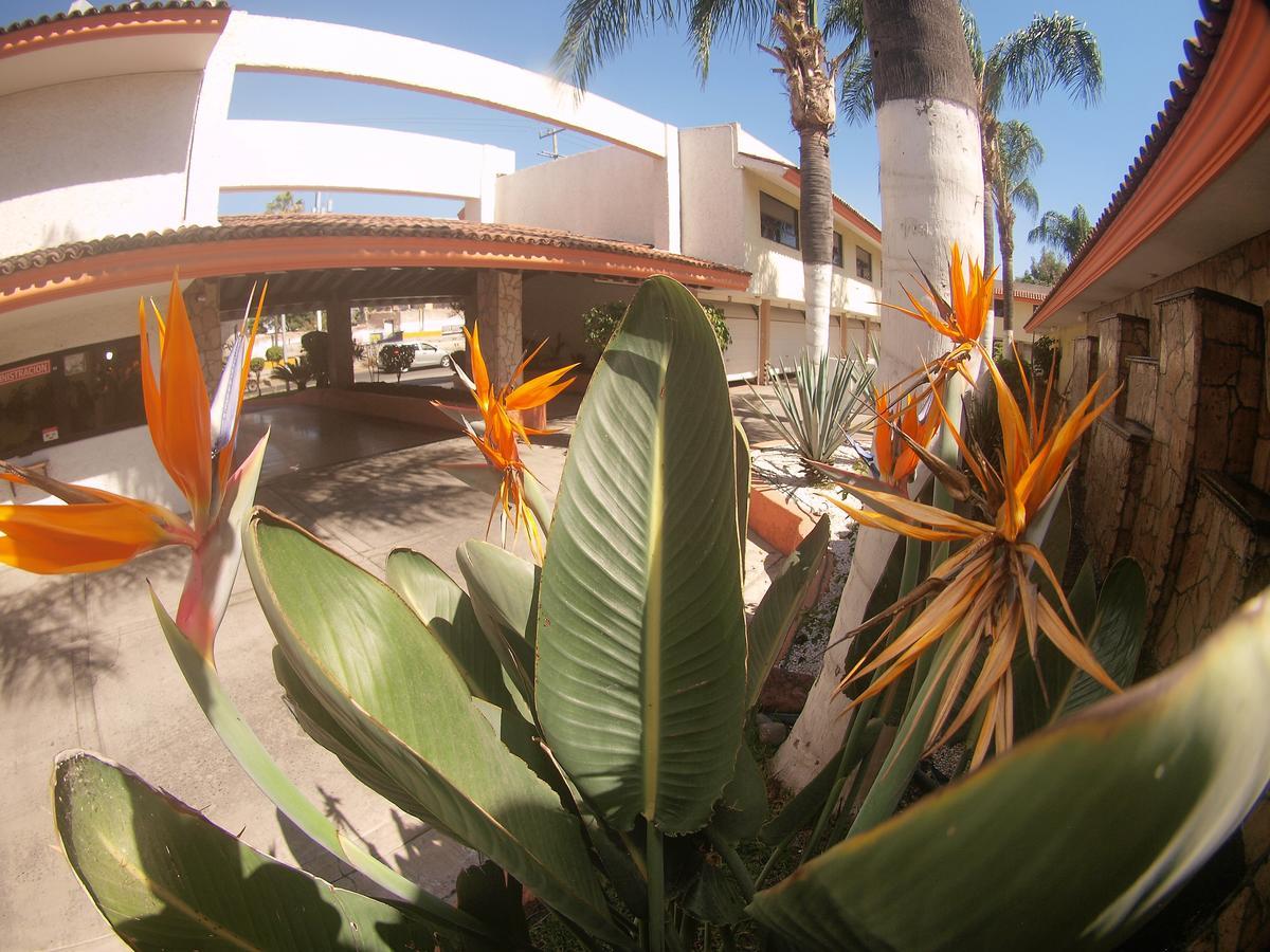 Auto Hotel Niza Tlaquepaque Esterno foto